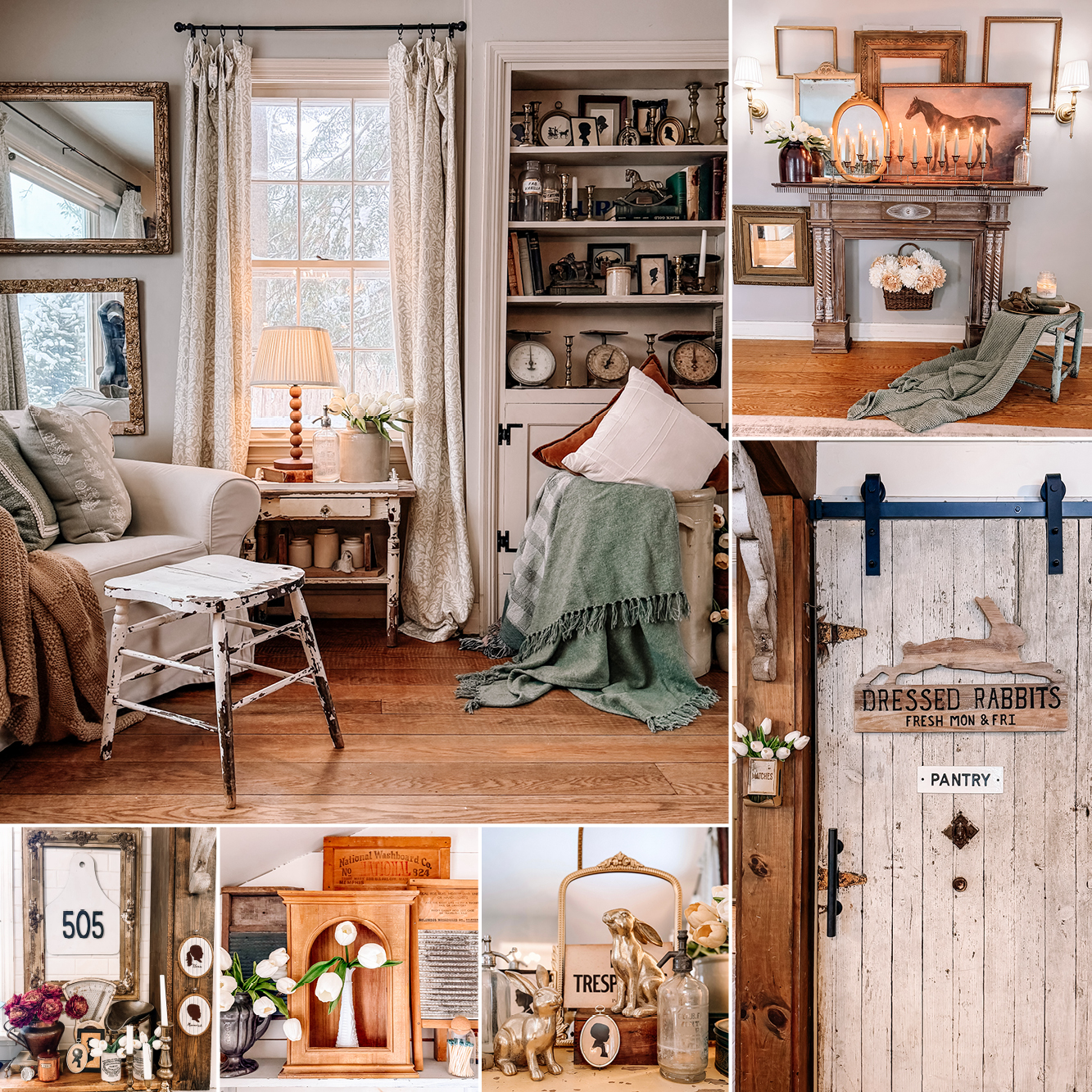 SOFT PETALS & SUNLIGHT