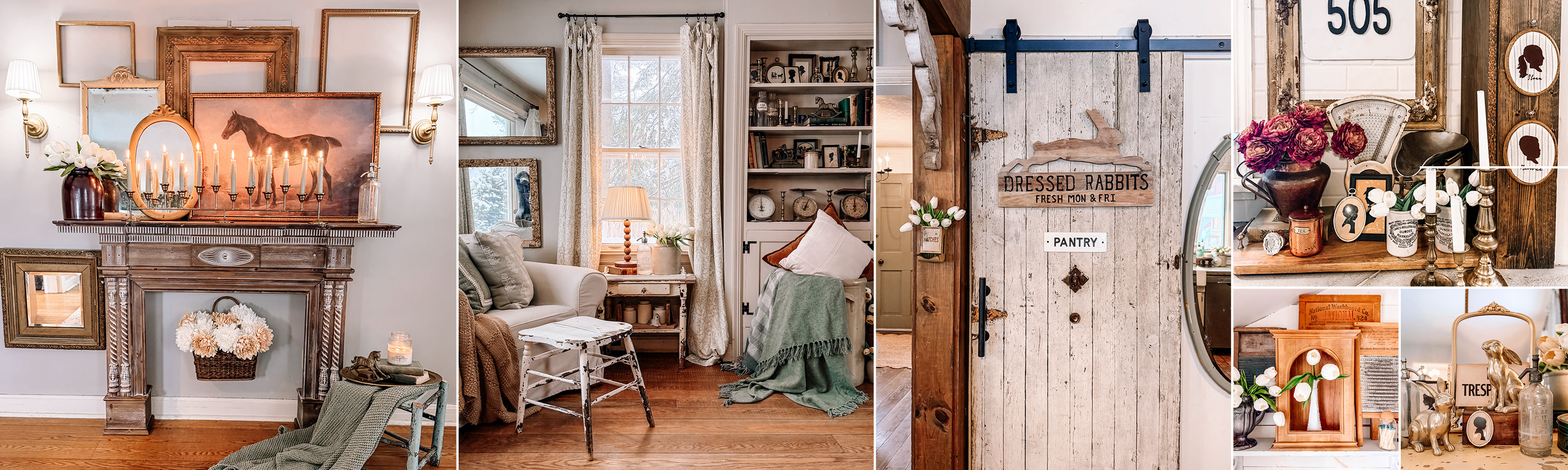 SOFT PETALS & SUNLIGHT