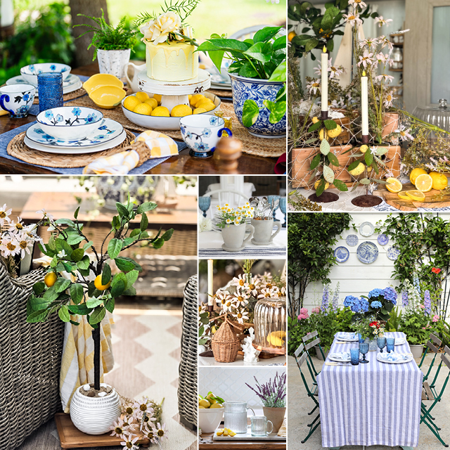 ZEST UP YOUR SPACE