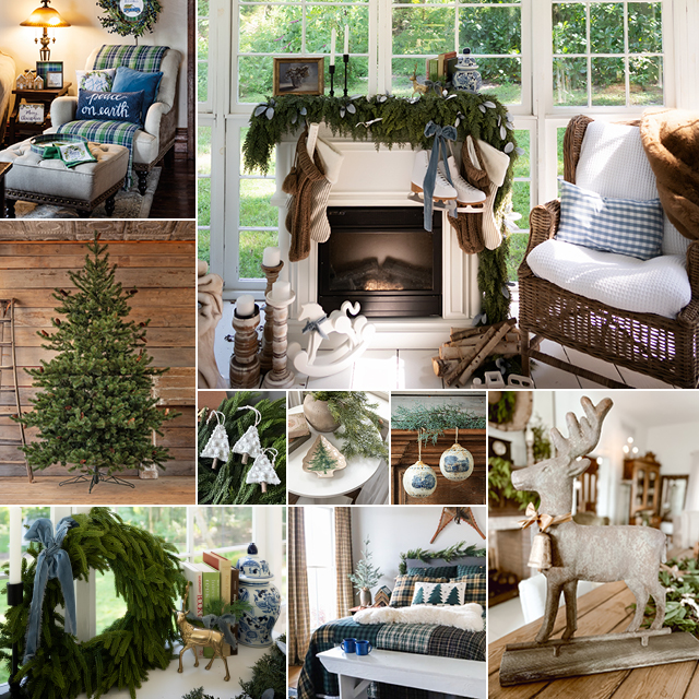 THE BLUE SPRUCE