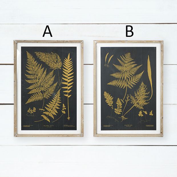 Botanical Framed Fern Print One of Each | Antique Farmhouse