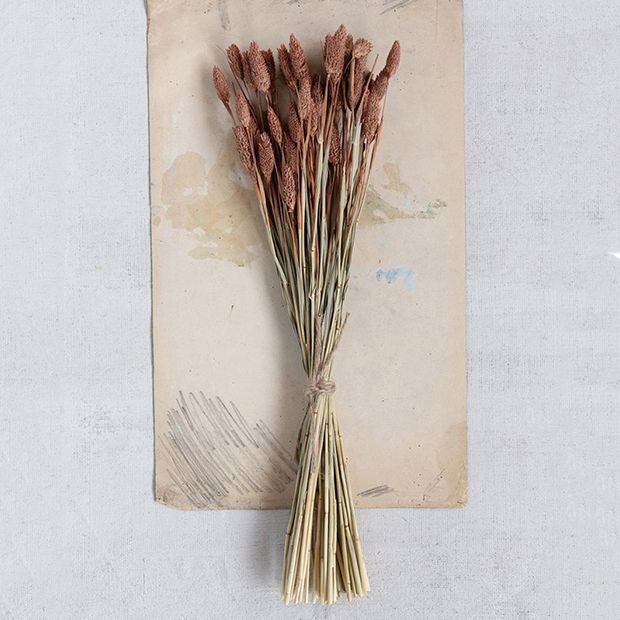 Dried Botanical Bundle Antique Farmhouse