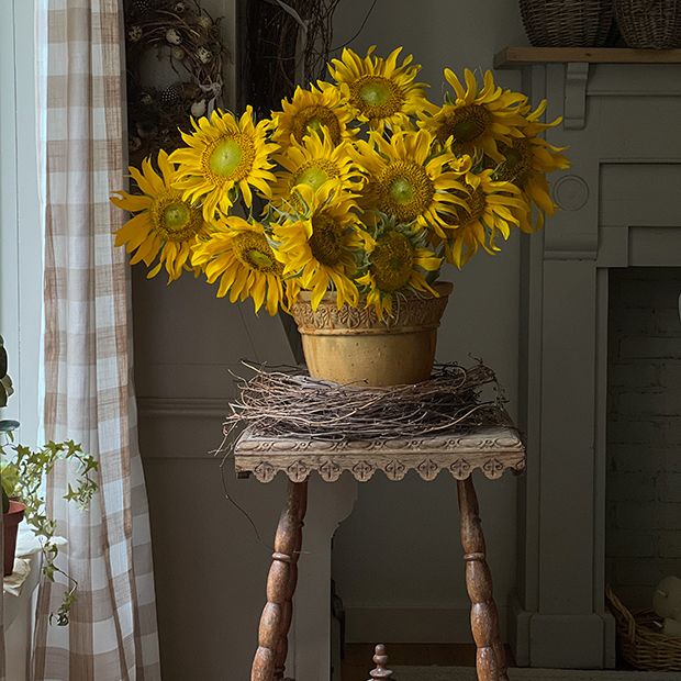 Rustic Round Planter Set of 3 | Antique Farmhouse