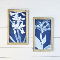 Framed Indigo Botanical Prints Set of 2
