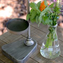 Glass Beaker Vase With Stand Set of 2