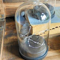 Lighted Cloche Decor