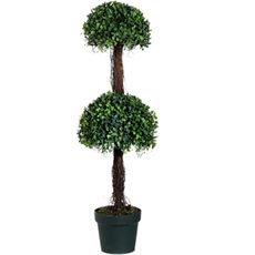 Boxwood Topiary - Double Ball
