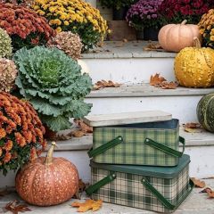 2 Piece Handled Tartan Bin Set