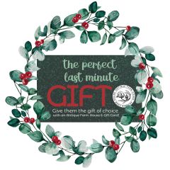 Gift Card - Home Decor