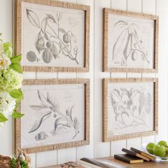 Framed Leaves and Seed Print Set of 4