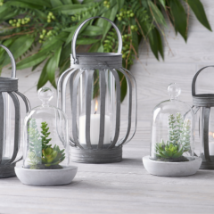 succulents-in-glass-dome-cloche-set-of-2