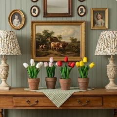 4 Piece Assorted Potted Tulips Collection