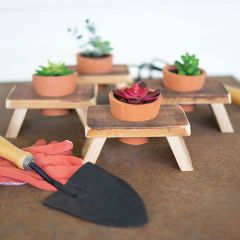 Terracotta Pot With Wood Base Set of 4