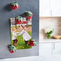 5 Piece Garden Strawberry Magnet Set