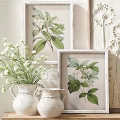 Floral Print With Distressed Frame Set of 2