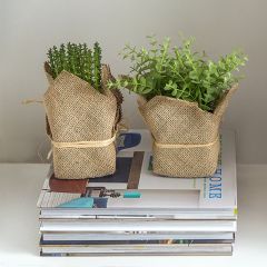 Burlap Wrapped Faux Herb Plant Set of 3