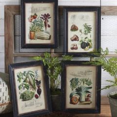Black Framed Vegetable Prints Set of 4