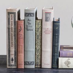 Canvas Book Box Set of 2
