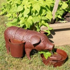 Pig Garden Fountain