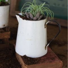 AFH Found - Vintage Enamelware Pitcher Planter