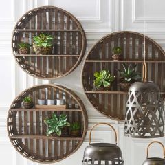 Twig Potted Succulents Set of 4