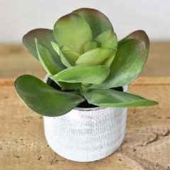 Faux Succulent Lotus With Pot