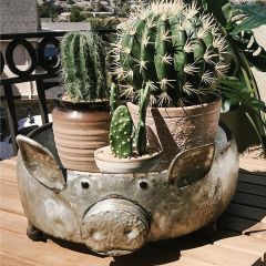 Whimsical Round Galvanized Pig Planter