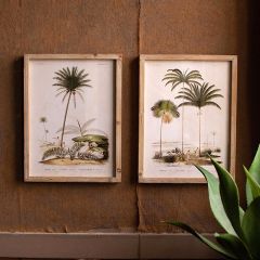 Framed Palm Tree Prints Set of 2