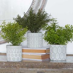 Faux Herbs in Pretty Pots Set of 3
