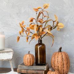 Amber Beech Leaf Stems in Vase