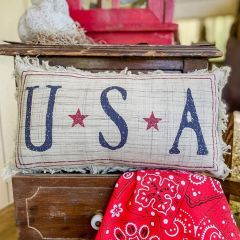 Americana Country USA Accent Pillow