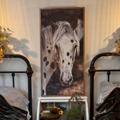 Appy Rusty Horse Framed Wall Art