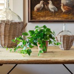 Artificial Potted Ivy 21 Inch