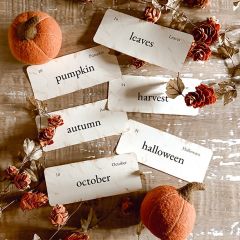 Autumn Primitive Flash Card Set of 6
