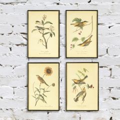 Bird On Branch Framed Wall Decor Set of 4