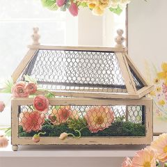 Pine Wood and Wire Terrarium