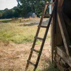 Barnwood Display Ladder