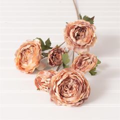 Beautiful Blush Ranunculus Pick Set of 3