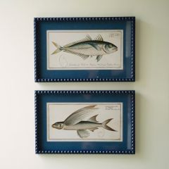 Blue Framed Fish Print Set of 2