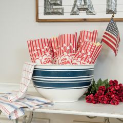 Blue Stripe Metal Bowl