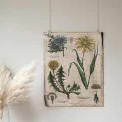 Botanicals Canvas Flat Wall Art