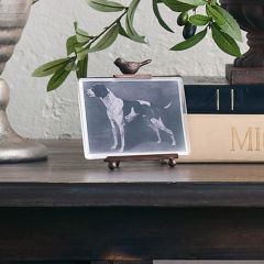 Bronze Bird Photo Easel