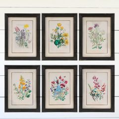 Framed Floral Prints Set of 6