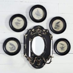 Round Framed Vintage Inspired Backyard Bird Prints Set of 8
