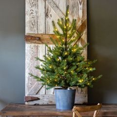 Lighted Fir Tree in Pot