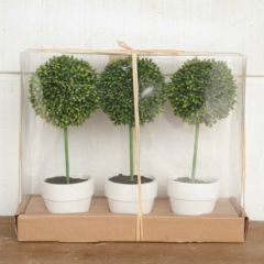 Potted Boxwood Topiary Set of 3