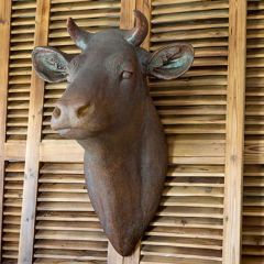 HUGE Cow Head Wall Mount