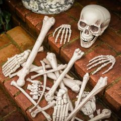 Decorative Bag of Bones