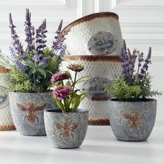 Embossed Bee Cement Planter Pot Set of 3