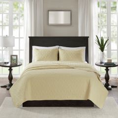Cheerful Reversible Coverlet Set